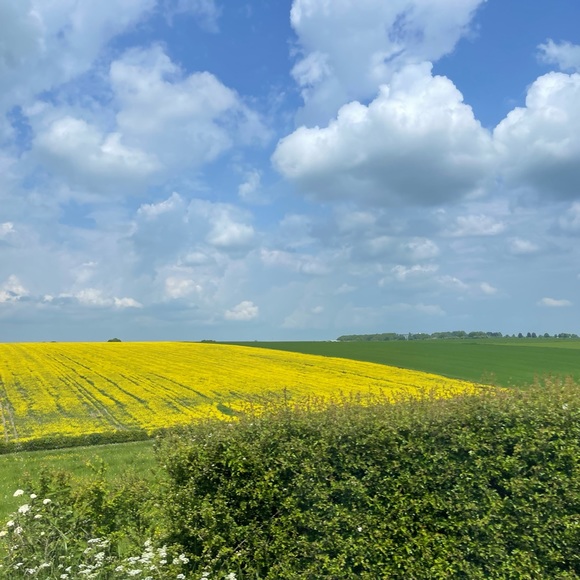 Meet your Posher, Tereza - Picture 5 of 15